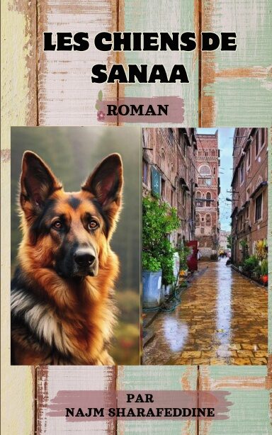 The Dogs of Sanaa